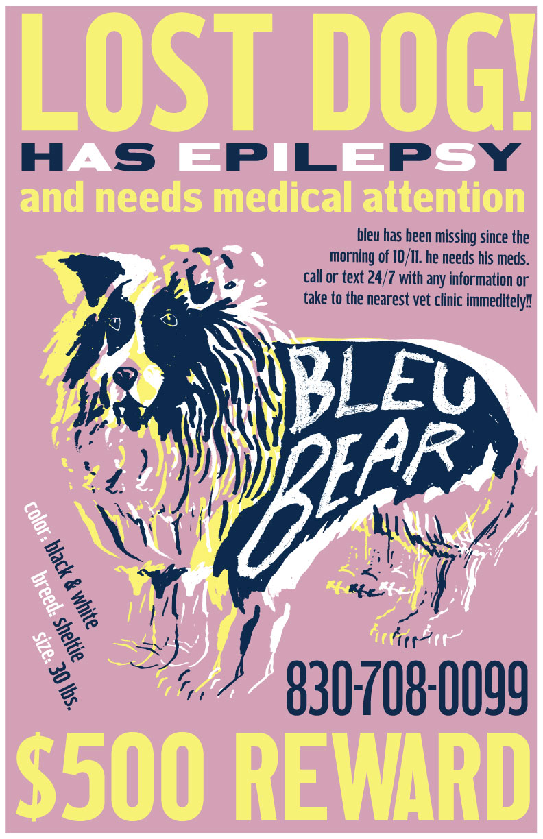 lost-dog-illustration-for-port